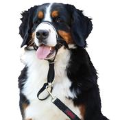 Halti Headcollar Size 1 Black image