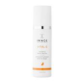 IMAGE Skincare Vital C Hydrating Facial Cleanser 177ml image