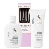 Alfaparf Diamond Shampoo &amp; Conditioner Duo with FREE Detangling Hairbrush