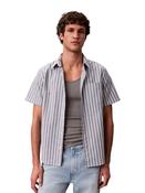 Stripe Oxford Classic Shirt - Blue - S image