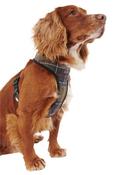 Tartan Dog Harness - Multi - S