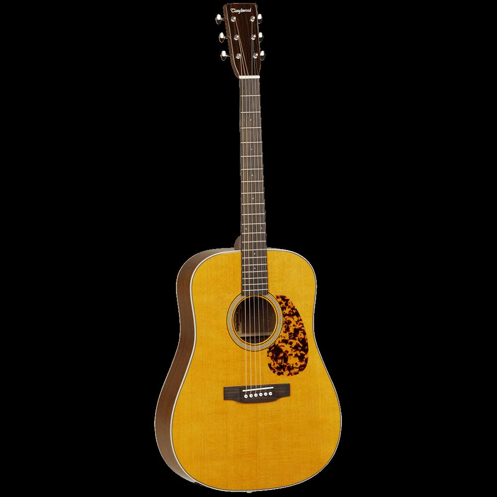 Tanglewood tw40 deals d an e