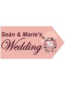 Wedding Road Sign - Pink Car