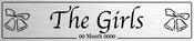 The Girls Silver - Wedding Number Plate image