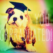 Hallmark You Graduated Dog with mitre 11474181– BizPOST