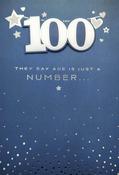 Hallmark Golden Lining, 3D Effect Attachments, Silver Foil Lettering and Design Details, 100th Birthday, They say age is just a number Birthday greeting card 25493527 - BizPOST