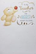 Hallmark Forever Friends Embossed Gold Foil Lettering &amp;amp; Design Details To My Teacher The Biggest Thank You Ever greeting card 25484428 – bizpost.ie image