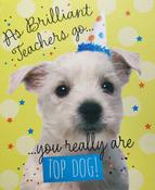 Hallmark Pet Celebs As Brilliant  Teachers go you really are Top Dog greeting card 25458959 – bizpost.ie image