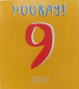 Hallmark Pistachio Embossed Lettering Hooray 9 Today Birthday greeting card 25504077 - BizPOST image
