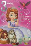 Hallmark Sofia the First 3 Today one little princess is turning three Birthday greeting card 25454751 - BizPOST image