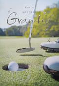 Hallmark Soft Focus Silver Foil Lettering &amp;amp; Design Details For a Special Grandad Birthday greeting card 11532811 - BizPOST image