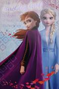 Hallmark FROZEN II Birthday Girl greeting card 25531107 - bizpost.ie image