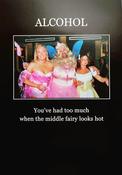 Hallmark LOL Alcohol You've had too much when the middle fairy looks hot Blank  greeting card 11385129 -bizpost.ie image