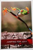 Hallmark Made You Look Embossed Lettering Jumping For Joy  greeting card 25488542 -bizpost.ie image