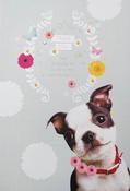 Hallmark Whiskers and Wishes Gold Foil Lettering and Design Details Thank You greeting card 25444500 - bizpost.ie image