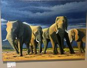 Elephants — BloomHQ image