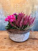 Colourful Autumnal Planter - Classic (As Displayed) image