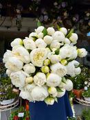 Luxury White Peony Bouquet image
