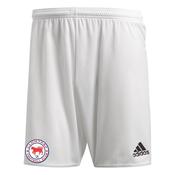 Clontarf FC Entrada 22 Shorts image