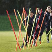 Boundary Poles (Set of 12) 1.7m (with bag)