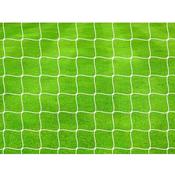 Pro Football Goal Nets Pair (24 x 8)