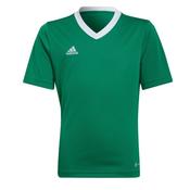 Kids Entrada 22 Green Jersey