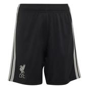 Kids Liverpool FC 26/27 Third Short image