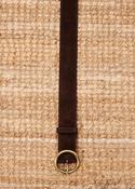 Ocicat Brown Belt