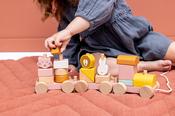 Wooden Animal Train - Mrs Cat
