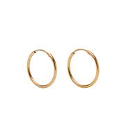 Leanne Hoops image