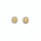 0.84ct Oval Yellow Diamond &amp; 0.35ct Natural Diamond Double Halo Cluster Earrings 18ct White Gold image