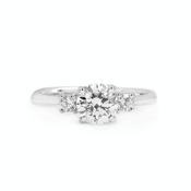 C0.80ct S0.12ct D si1 Brilliant Cut Natural Diamond Solitaire With Side Diamonds In 18ct White Gold image