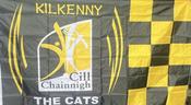 Kilkenny Flag with crest image