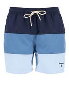 Dale Swim Shorts - Navy - S image