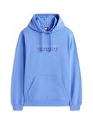 Logo Terry Drawstring Hoody - Blue - S