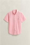 Reg Classic Poplin Ss Shirt - Pink - M image