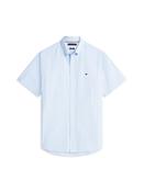 Flex Poplin Striped SS Shirt - Blue - M image