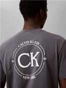 20s April Graphic T-shirt - Grey - XS image