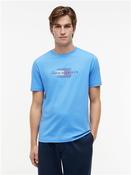 Script Flag T-shirt - Blue - S image