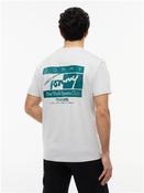 Reg Sign Flag Graphic Logo T-shirt - Grey - XS image