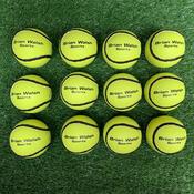 Sliotars Brian Walsh size 4 DOZEN image