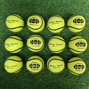 Sliotars Brian Walsh 5 DOZEN image