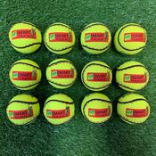 Brian Walsh Smart Touch Sliotars- Dozen image