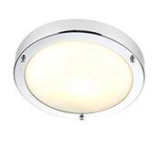 Portico Ceiling Light image