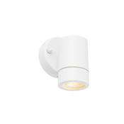 Palin Down Outdoor Wall Light White image