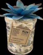 Coastal Water Organic Candle &amp; Ornate Jar