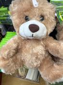 Cuddly Irish Teddy Bear