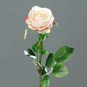 Rose 66cm peach/yellow