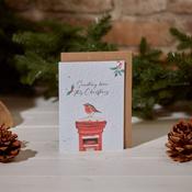 XMAS SEED CARD ROBIN &amp; POSTBOX