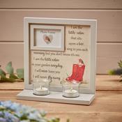 ROBIN FRAME T/LIGHT